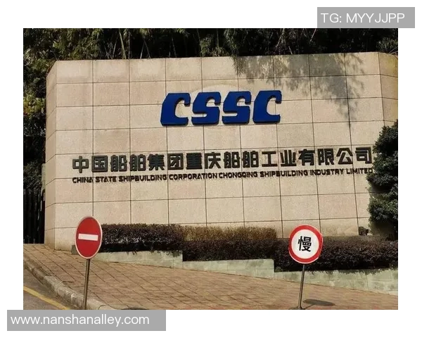 重庆排球队的整体压制革新之路与未来发展展望